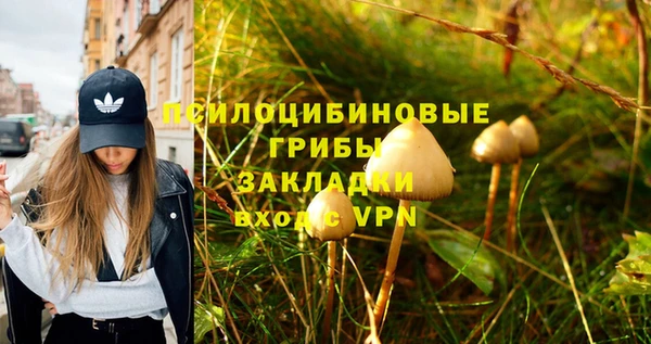 трава Абинск