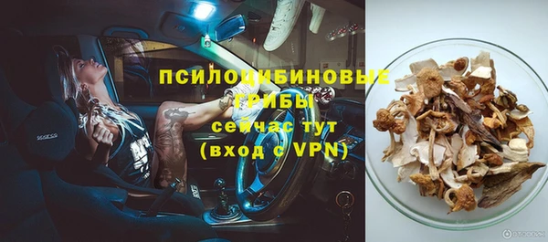 тгк Абдулино