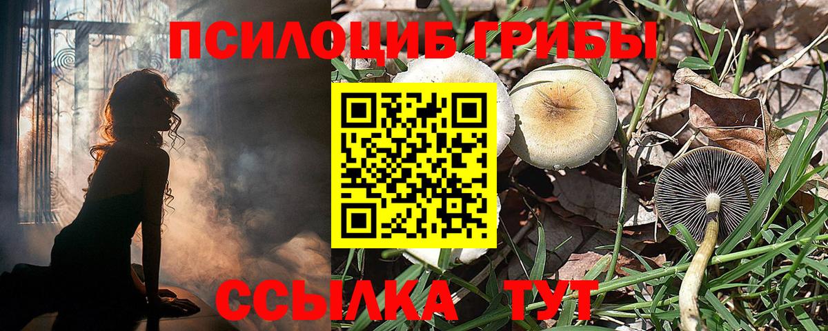 купить  цена  Псилоцибиновые грибы ЛСД  Вход с VPN  Прокопьевск 
