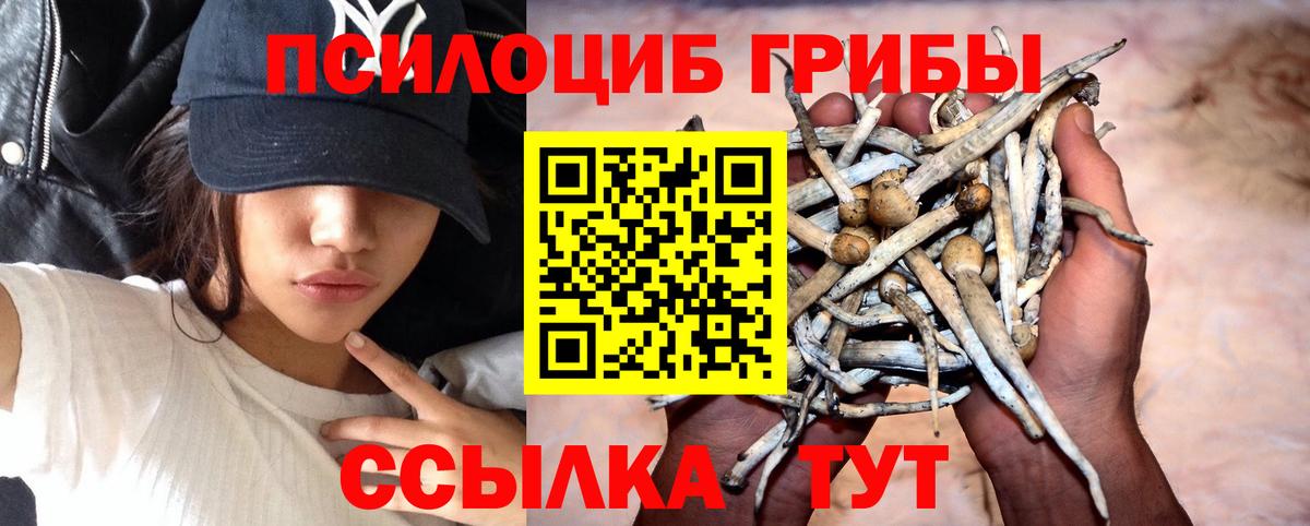 Псилоцибиновые грибы Magic Shrooms Прокопьевск