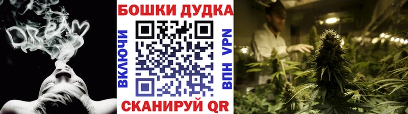 Бошки Шишки сатива  где найти   Прокопьевск 
